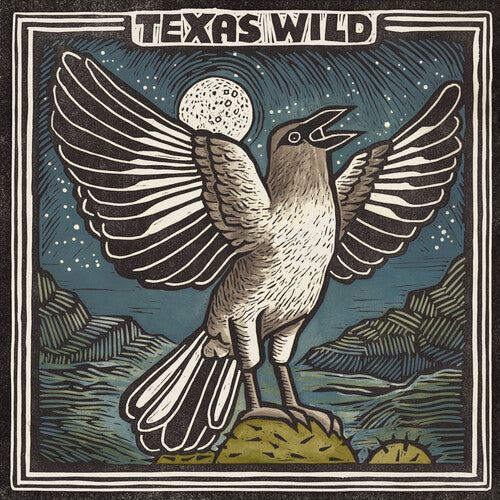 Texas Wild / Various