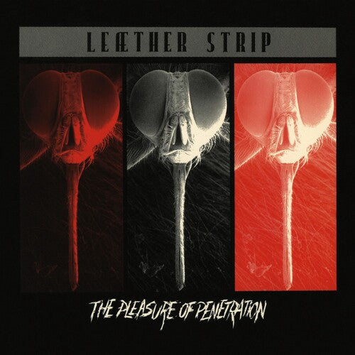 Pleasure Of Penetration - Red, Leather Strip, LP