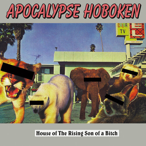 House Of The Rising Son Of A Bitch - Silver