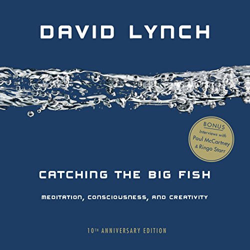 Catching the Big Fish: Meditation, Consciousness, and Creativity -- David Lynch - Paperback