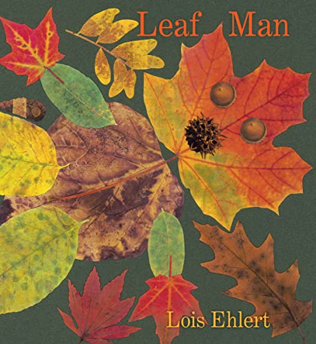 Leaf Man Board Book -- Lois Ehlert - Board Book