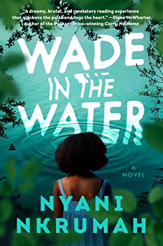Wade in the Water -- Nyani Nkrumah - Hardcover