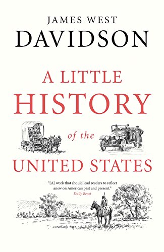 A Little History of the United States -- James West Davidson - Paperback
