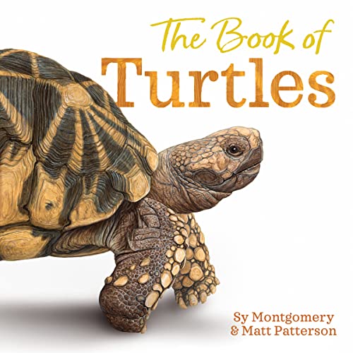 The Book of Turtles -- Sy Montgomery, Hardcover