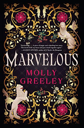 Marvelous: A Novel of Wonder and Romance in the French Royal Court -- Molly Greeley - Hardcover