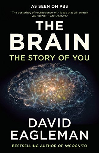 The Brain: The Story of You -- David Eagleman, Paperback