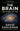 The Brain: The Story of You -- David Eagleman, Paperback