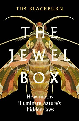 The Jewel Box: How Moths Illuminate Nature's Hidden Rules by Blackburn, Tim