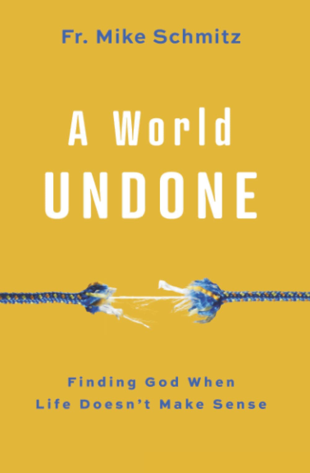 A World Undone: Finding God When Life Doesn't Make Sense by Schmitz, Fr Mike