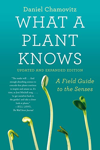 What a Plant Knows: A Field Guide to the Senses: Updated and Expanded Edition -- Daniel Chamovitz, Paperback