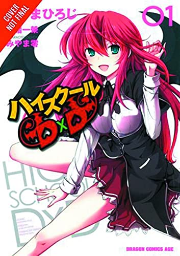 High School DXD, Vol. 1: Volume 1 -- Hiroji Mishima, Paperback