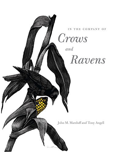 In the Company of Crows and Ravens -- John M. Marzluff, Paperback