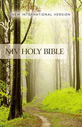 NIV, Value Outreach Bible, Paperback -- Zondervan - Bible