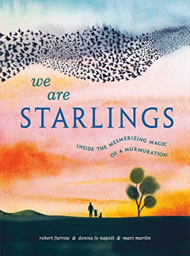 We Are Starlings: Inside the Mesmerizing Magic of a Murmuration -- Robert Furrow - Hardcover