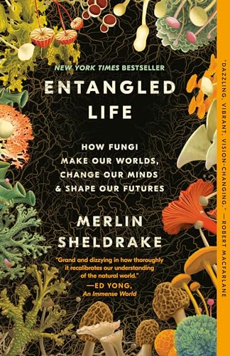 Entangled Life: How Fungi Make Our Worlds, Change Our Minds & Shape Our Futures -- Merlin Sheldrake, Paperback