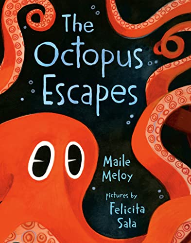 The Octopus Escapes -- Maile Meloy - Board Book