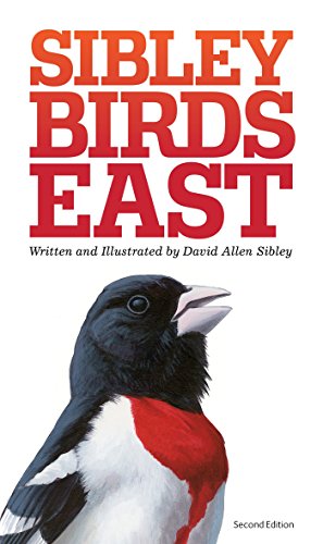 The Sibley Field Guide to Birds of Eastern North America -- David Allen Sibley - Paperback