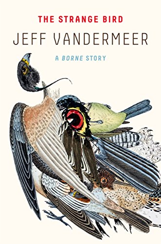 The Strange Bird: A Borne Story -- Jeff VanderMeer, Paperback