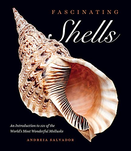 Fascinating Shells: An Introduction to 121 of the World's Most Wonderful Mollusks -- Andreia Salvador, Hardcover