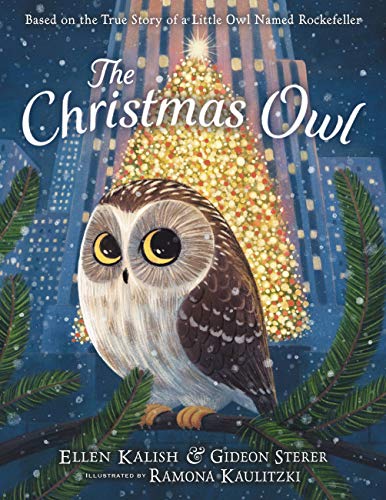 The Christmas Owl: Based on the True Story of a Little Owl Named Rockefeller -- Gideon Sterer, Hardcover
