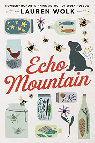 Echo Mountain -- Lauren Wolk, Paperback