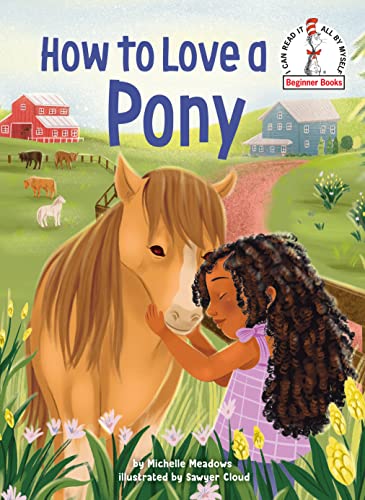How to Love a Pony -- Michelle Meadows, Hardcover