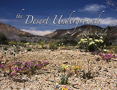 The Desert Underground: Exposing a Valuable Hidden World Under Our Feet by Kobaly, Robin