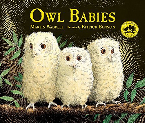 Owl Babies -- Martin Waddell, Hardcover
