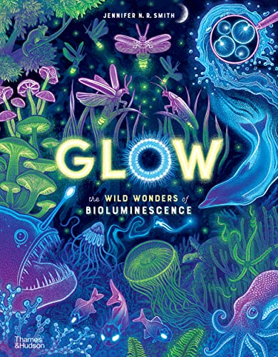 Glow: The Wild Wonders of Bioluminescence -- Jennifer N. R. Smith - Hardcover