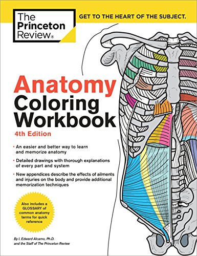 Anatomy Coloring Workbook, 4th Edition: An Easier and Better Way to Learn Anatomy -- The Princeton Review, Paperback