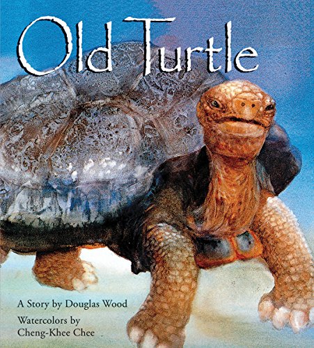 Old Turtle -- Douglas Wood, Hardcover