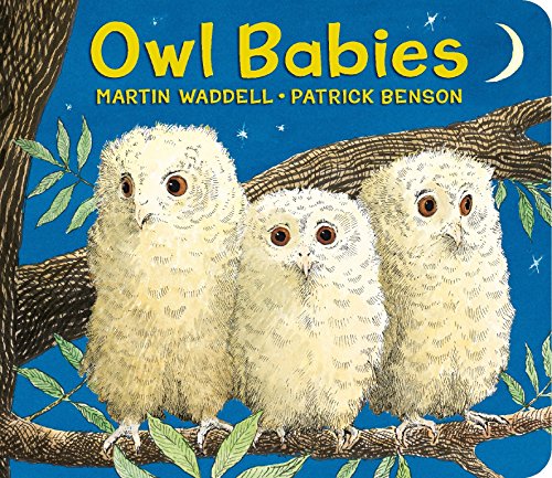 Owl Babies -- Martin Waddell, Board Book
