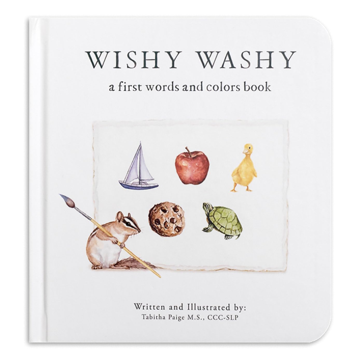 Wishy Washy: A Board Book of First Words and Colors for Growing Minds by Paige, Tabitha