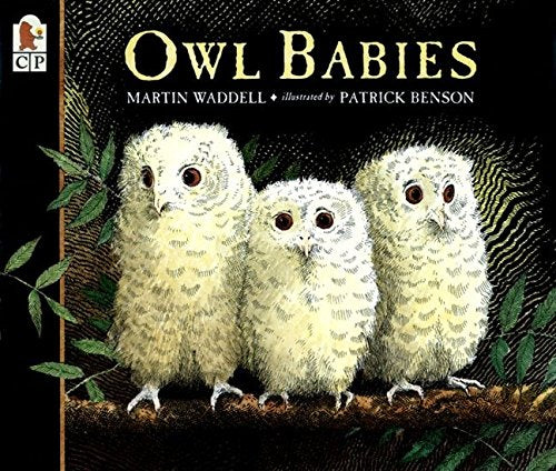 Owl Babies -- Martin Waddell, Paperback