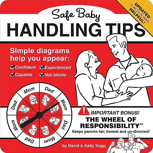 Safe Baby Handling Tips -- David Sopp, Board Book