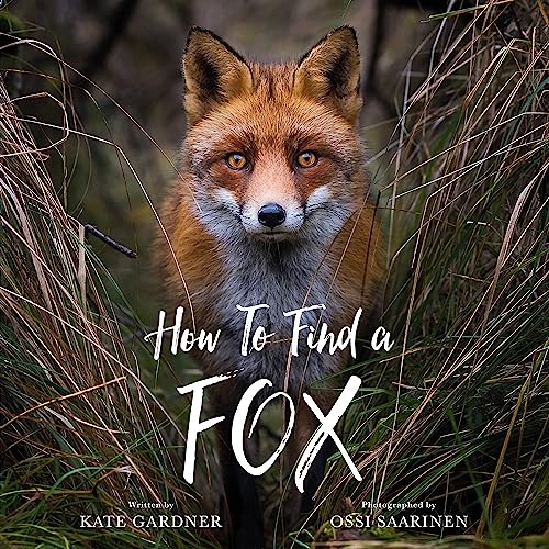 How to Find a Fox -- Kate Gardner - Hardcover