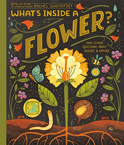 What's Inside a Flower?: And Other Questions about Science & Nature -- Rachel Ignotofsky, Hardcover