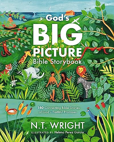 God's Big Picture Bible Storybook: 140 Connecting Bible Stories of God's Faithful Promises by Wright, N. T.