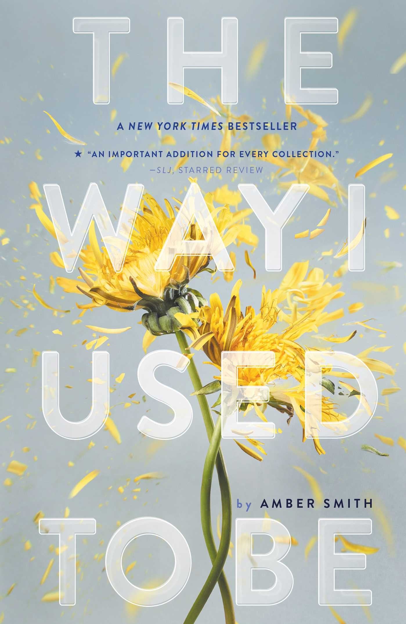 The Way I Used to Be by Smith, Amber