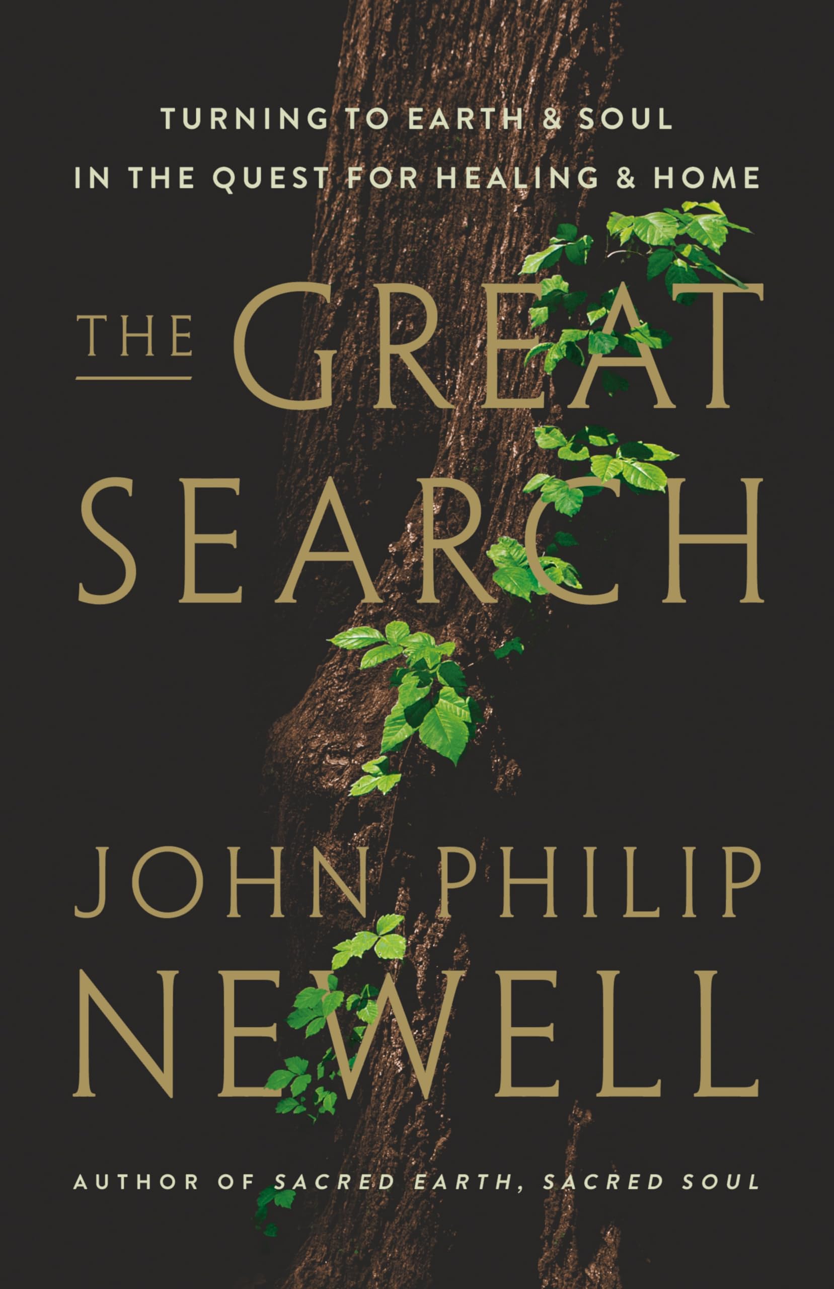 The Great Search: Turning to Earth and Soul in the Quest for Healing and Home by Newell, John Philip