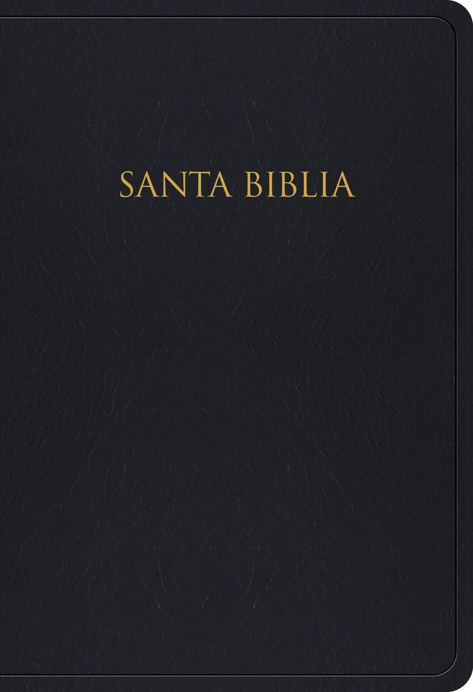 Biblia Para Regalos y Premios-Rvr 1960 by B&h Español Editorial