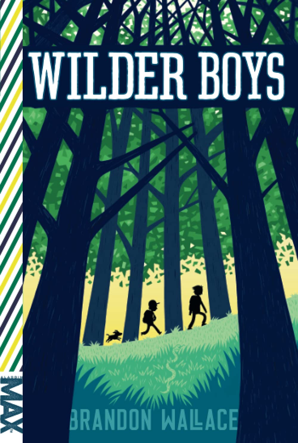 Wilder Boys by Wallace, Brandon