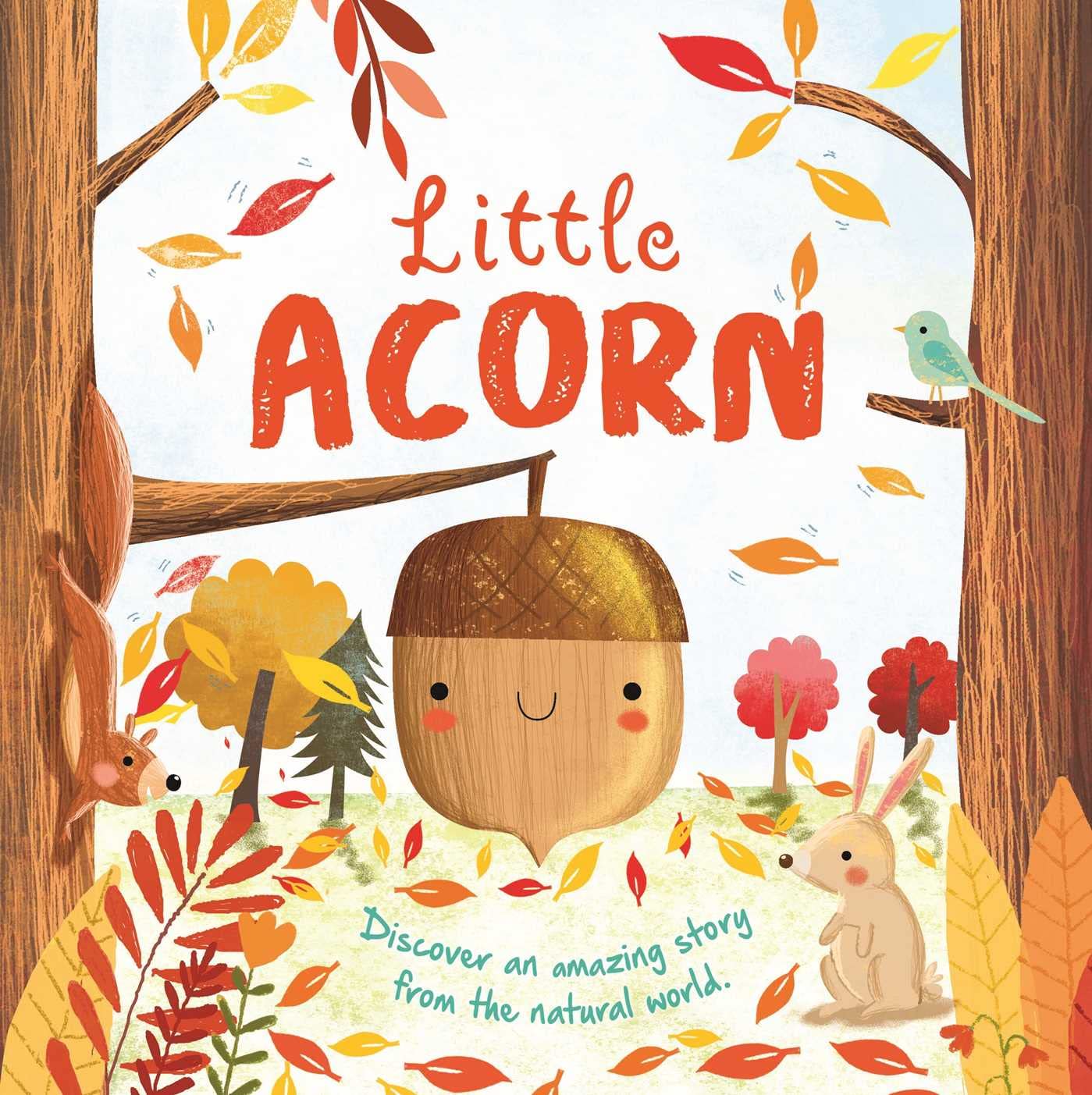 Nature Stories: Little Acorn: Padded Board Book by Igloobooks