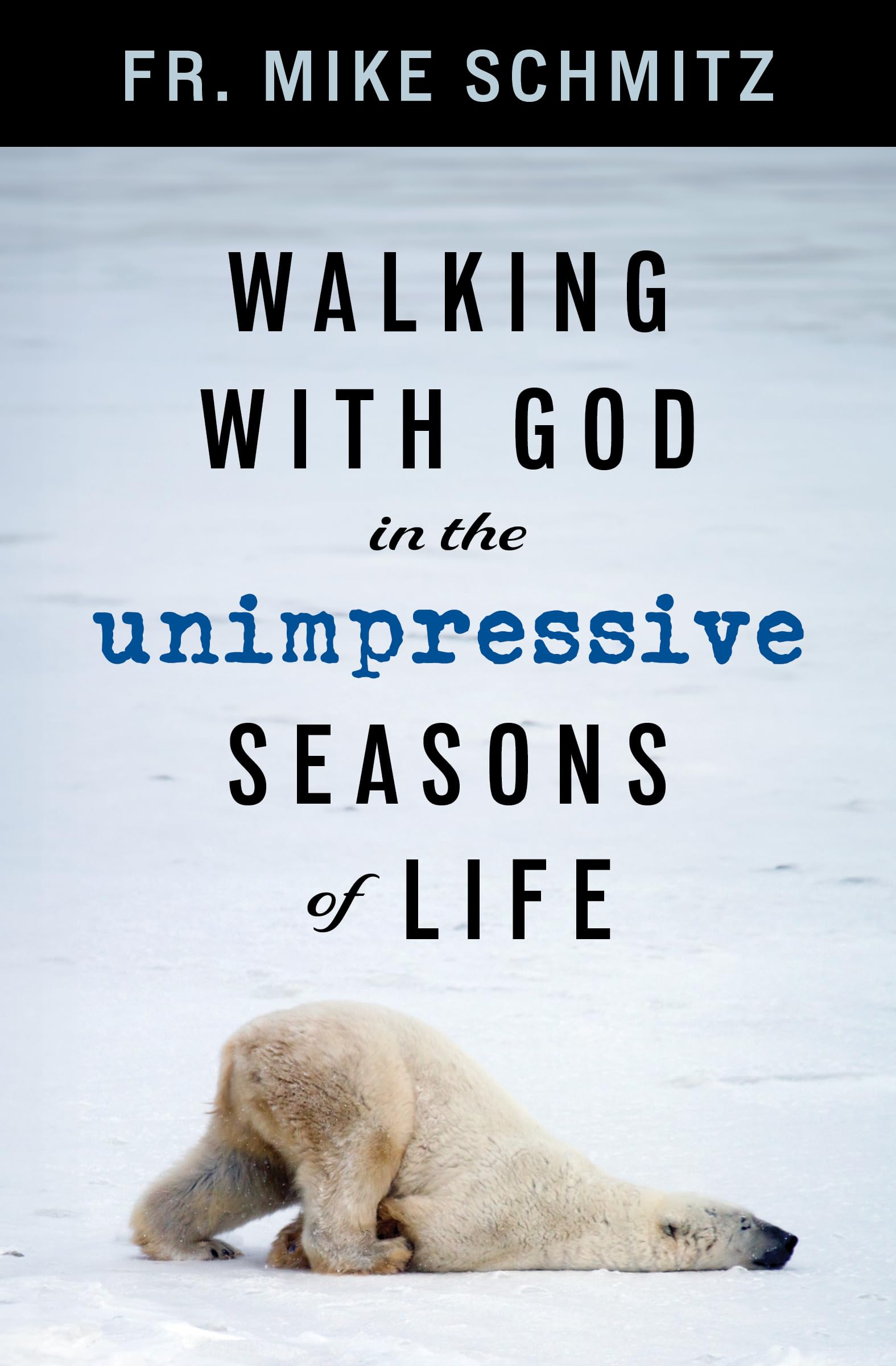 Walking with God in the Unimpressive Seasons of Life by Schmitz, Mike