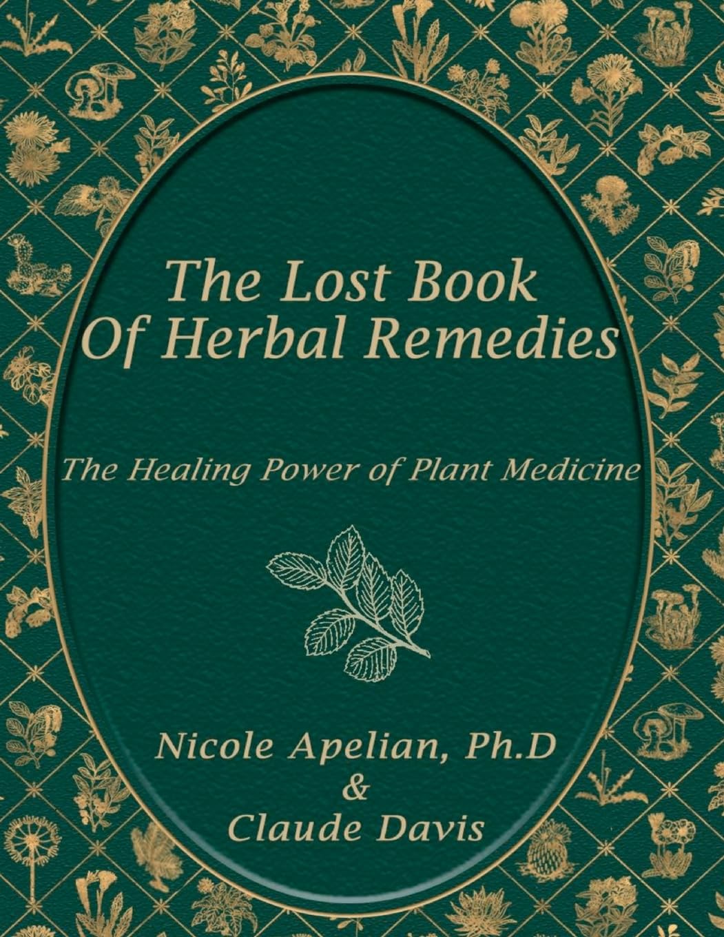 The Lost Book of Herbal Remedies - Paperback by Davis, Claude