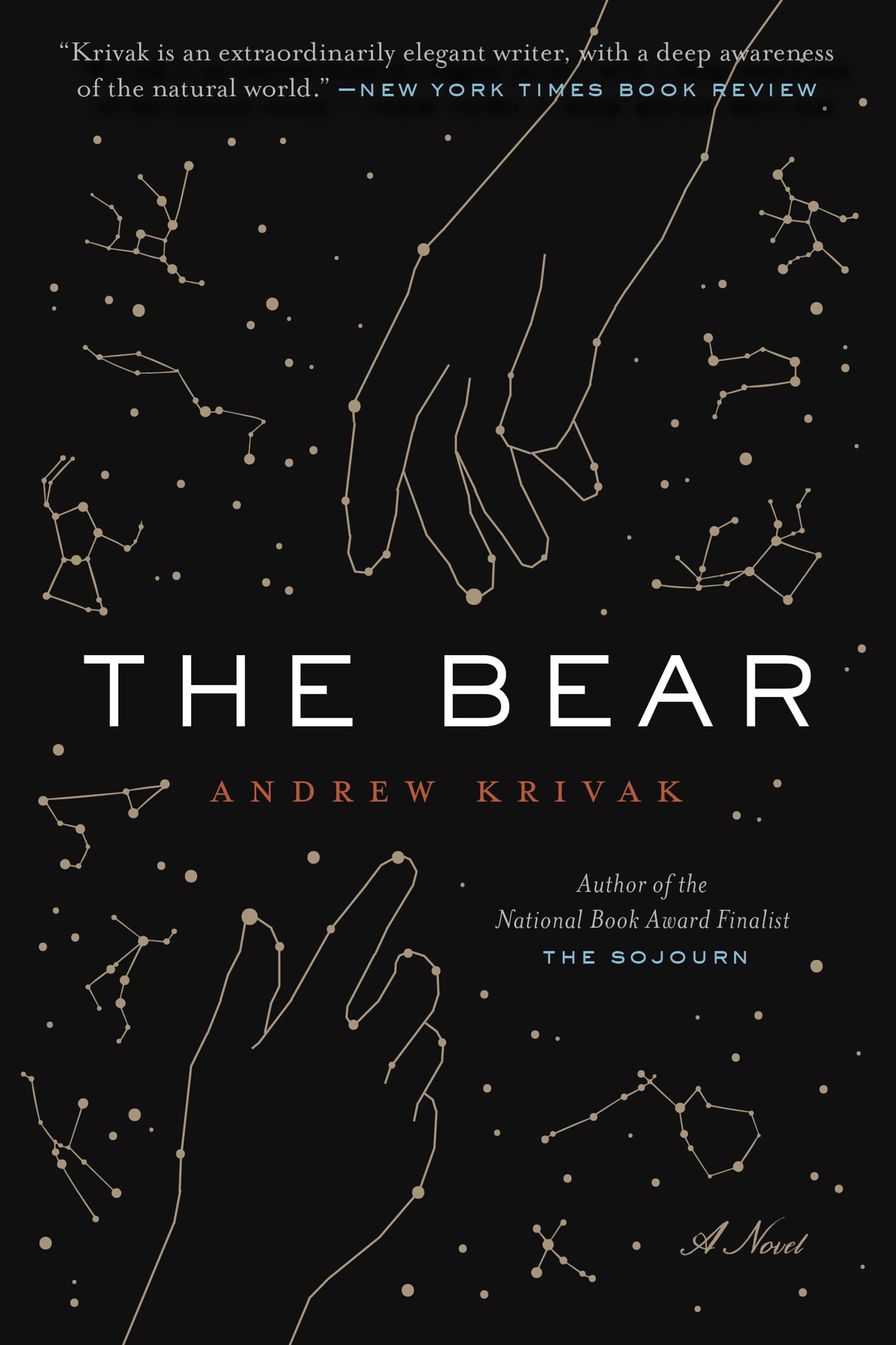 The Bear by Krivak, Andrew