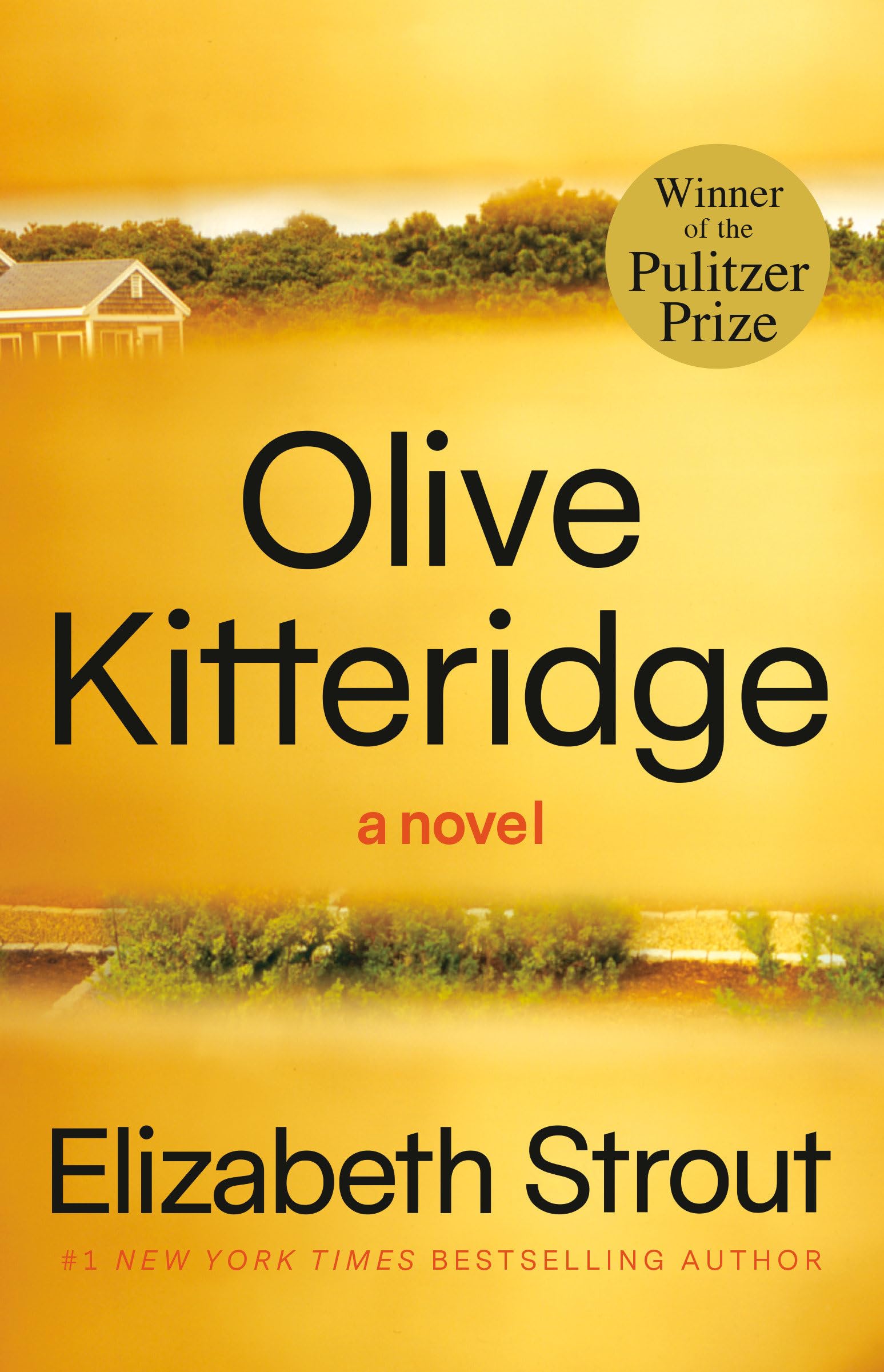 Olive Kitteridge by Strout, Elizabeth