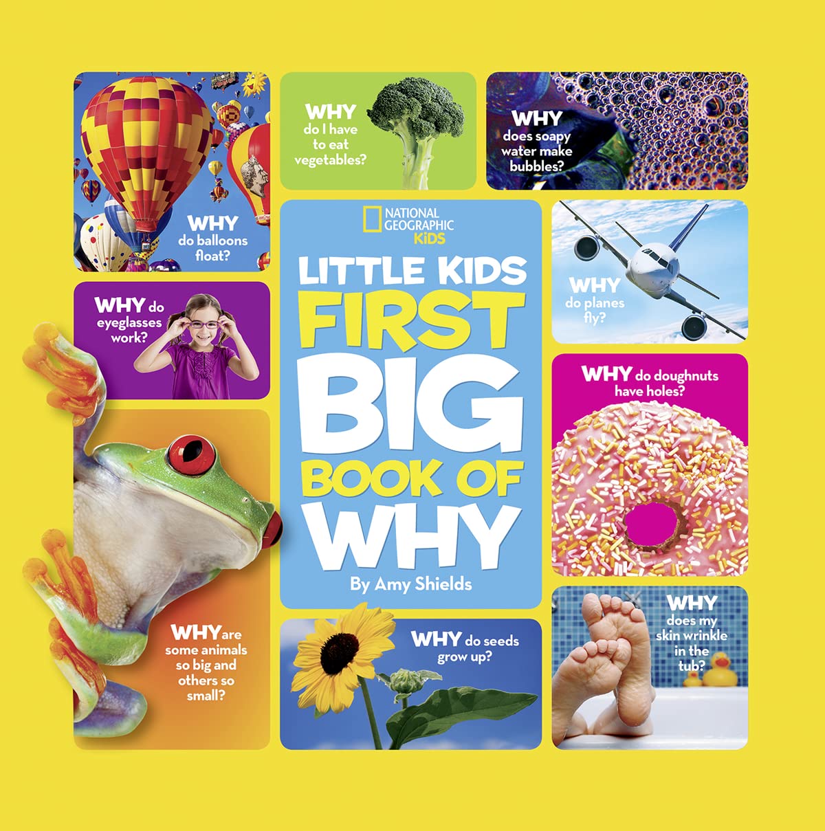 National Geographic Little Kids First Big Book of Why by Shields, Amy