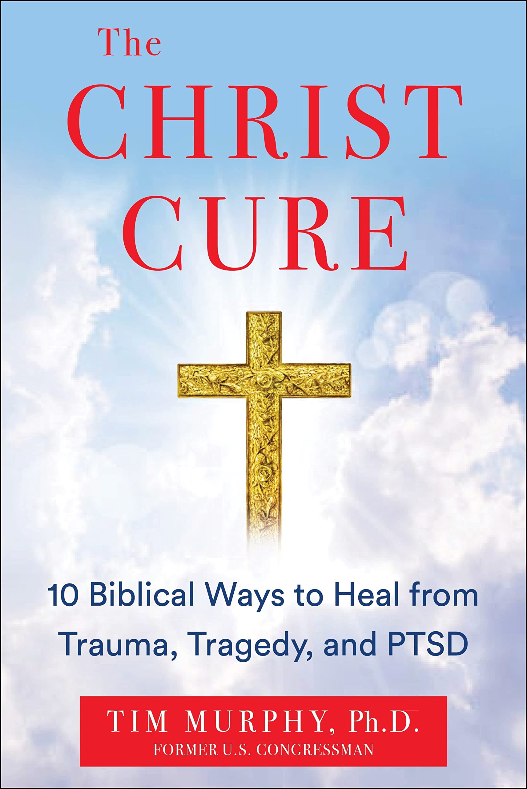 The Christ Cure: 10 Biblical Ways to Heal from Trauma, Tragedy, and Ptsd by Murphy, Tim