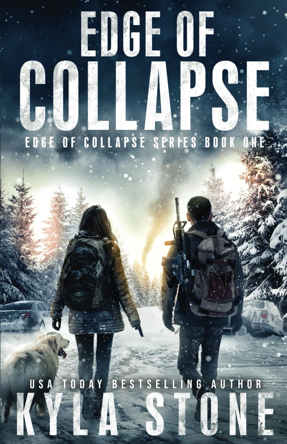 Edge of Collapse: A Post-Apocalyptic Survival Thriller by Stone, Kyla